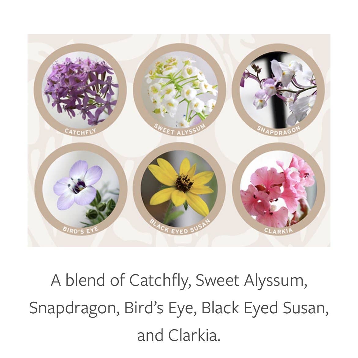 Thank You! Plantable Greeting Card