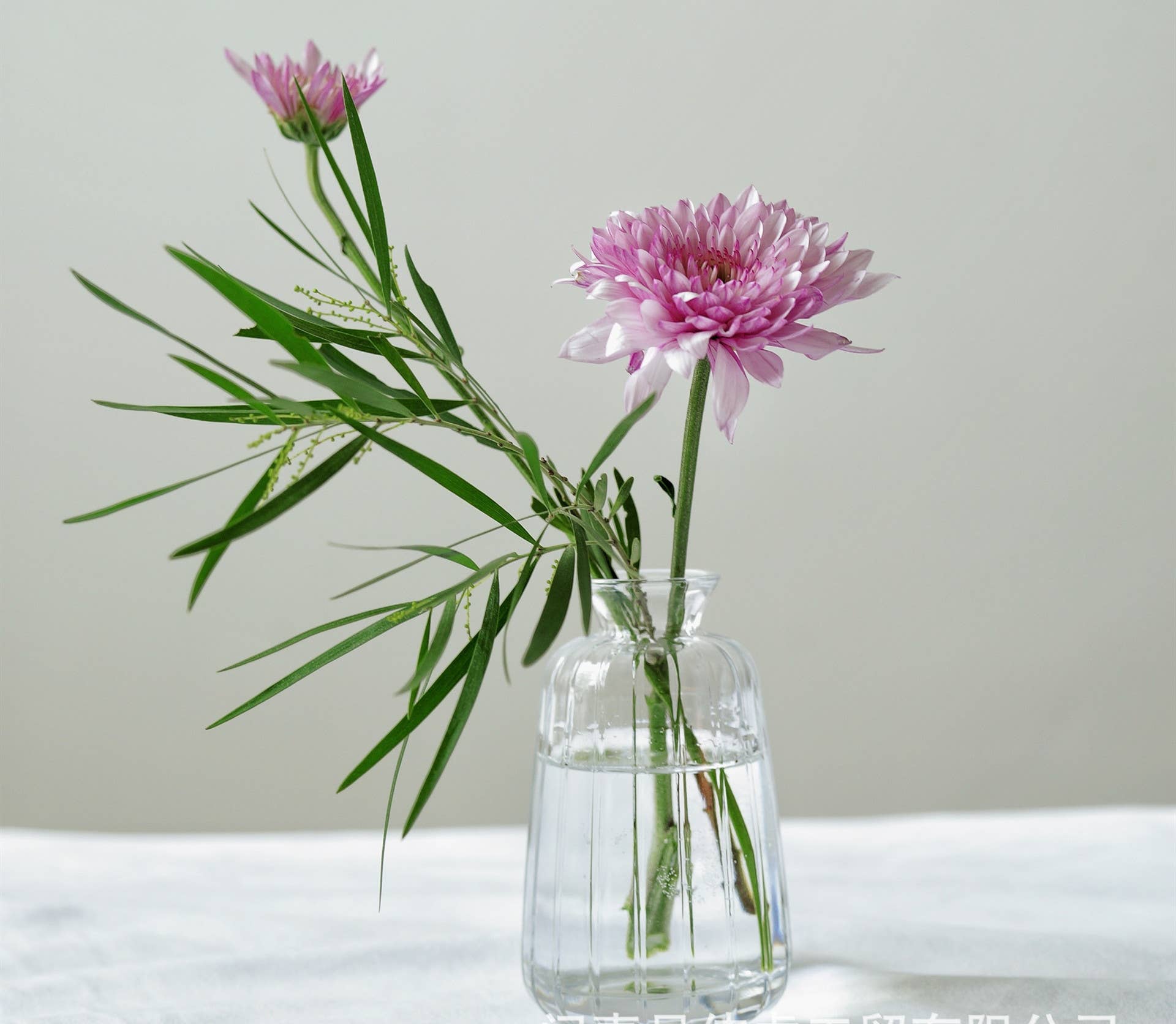 Pleated Glass Bud Vase, Small Glass Vases, Clear: Style C
