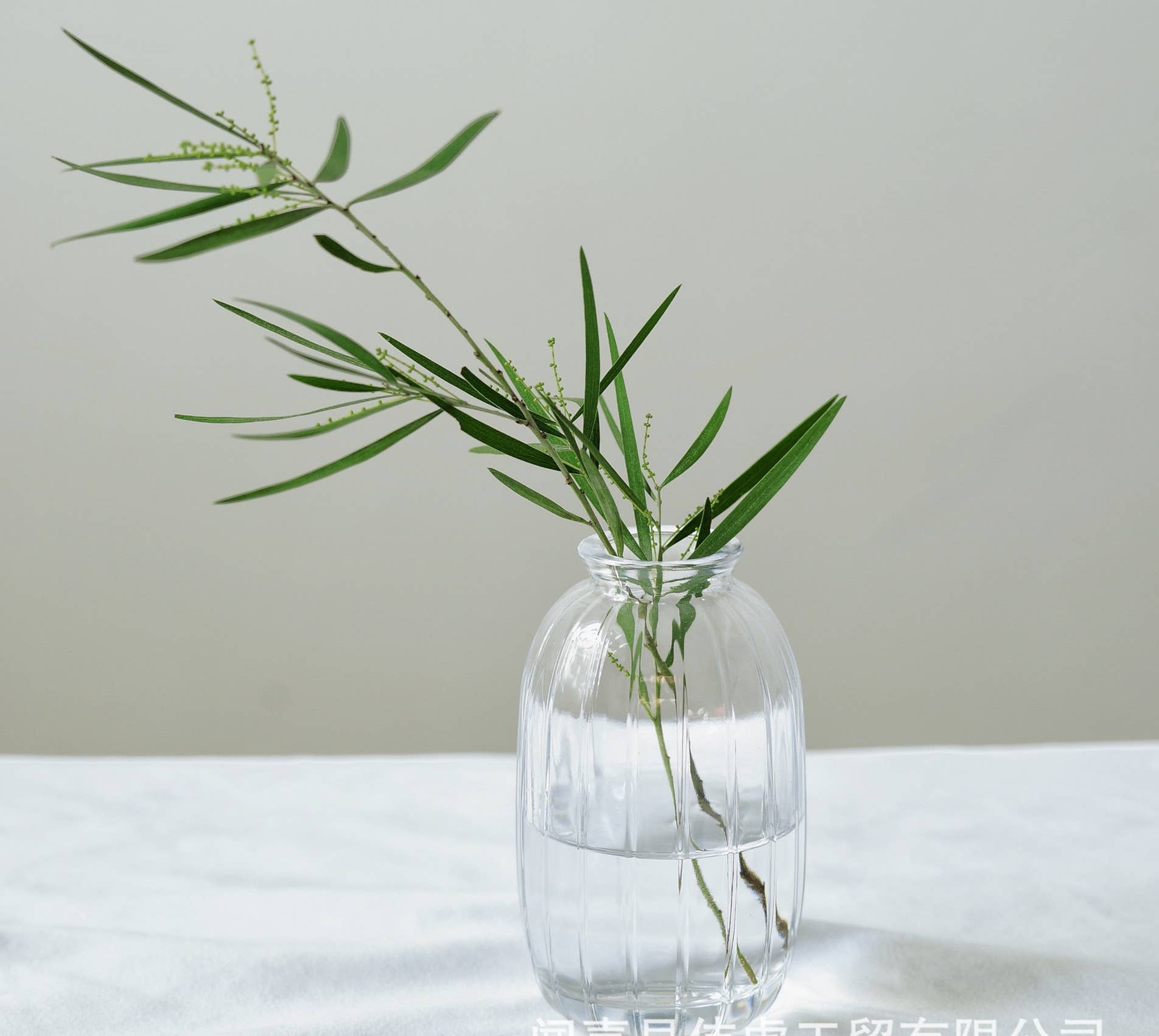 Pleated Glass Bud Vase, Small Glass Vases, Clear: Style C
