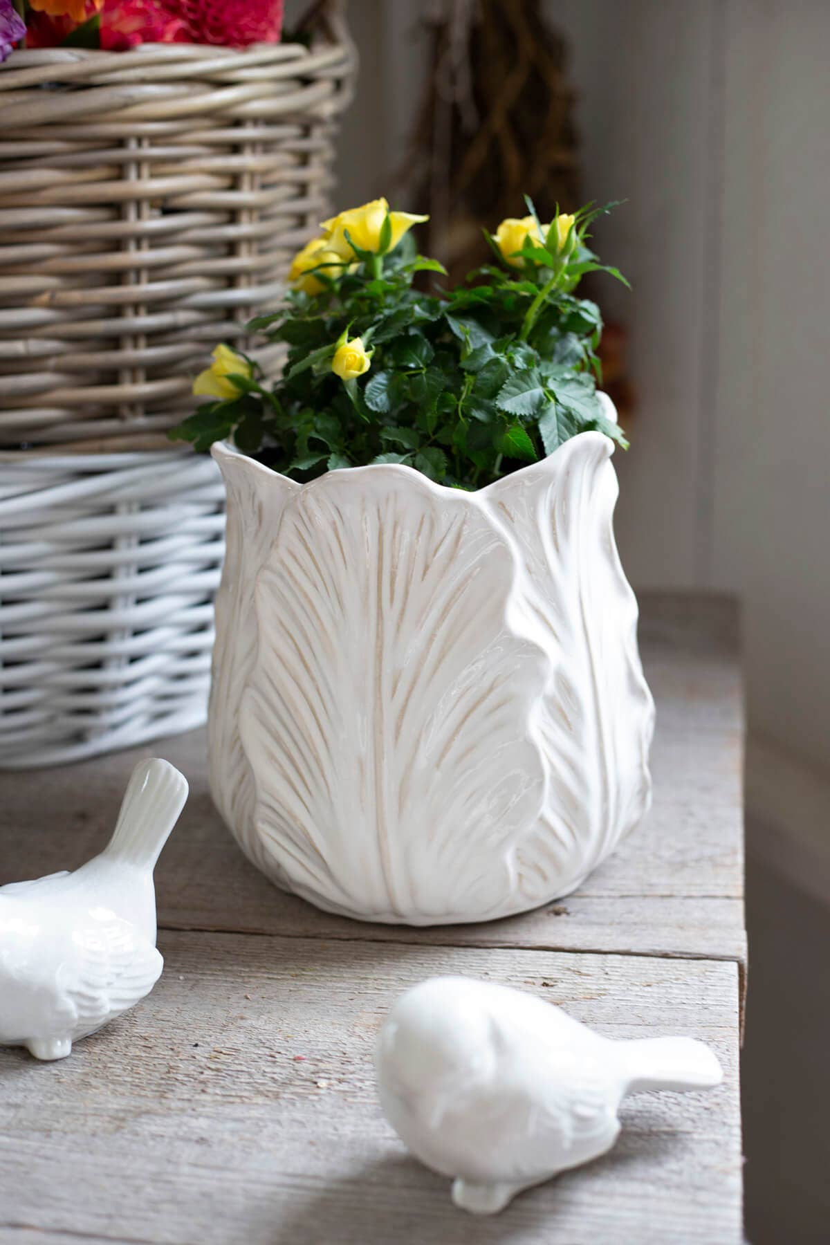 CREAM CABBAGE LEAF POT TALL
