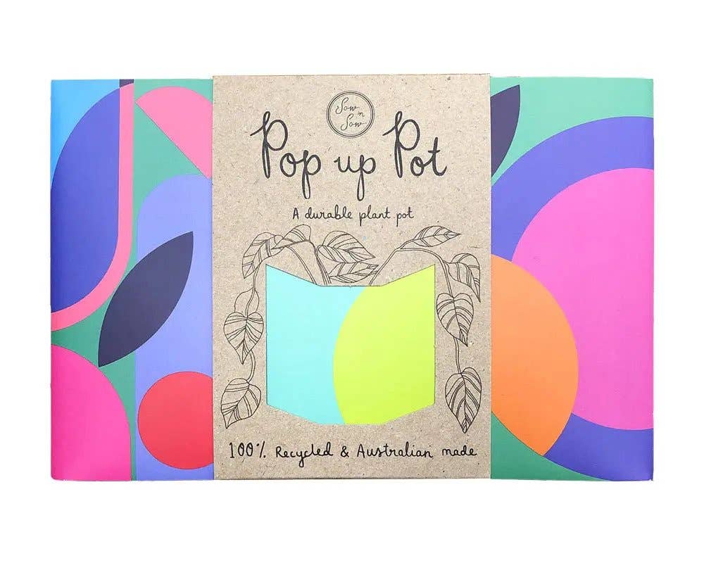 Pop Up Pot 'Plant Party'