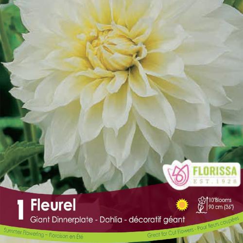 Fleurel Dahlia