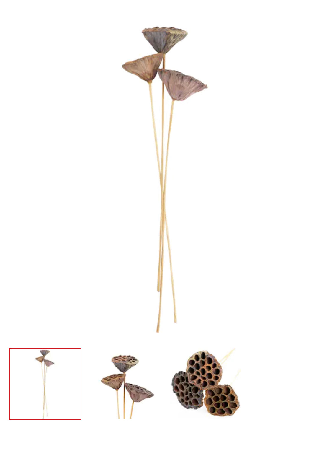 Lotus Pods