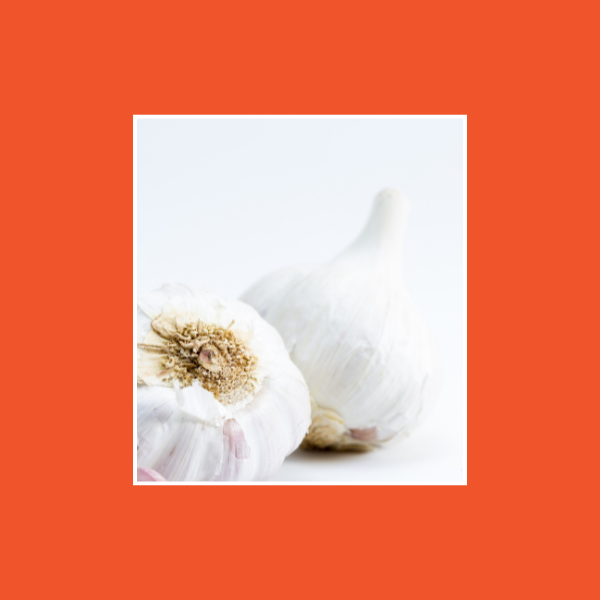 Seasonal Bulbs
