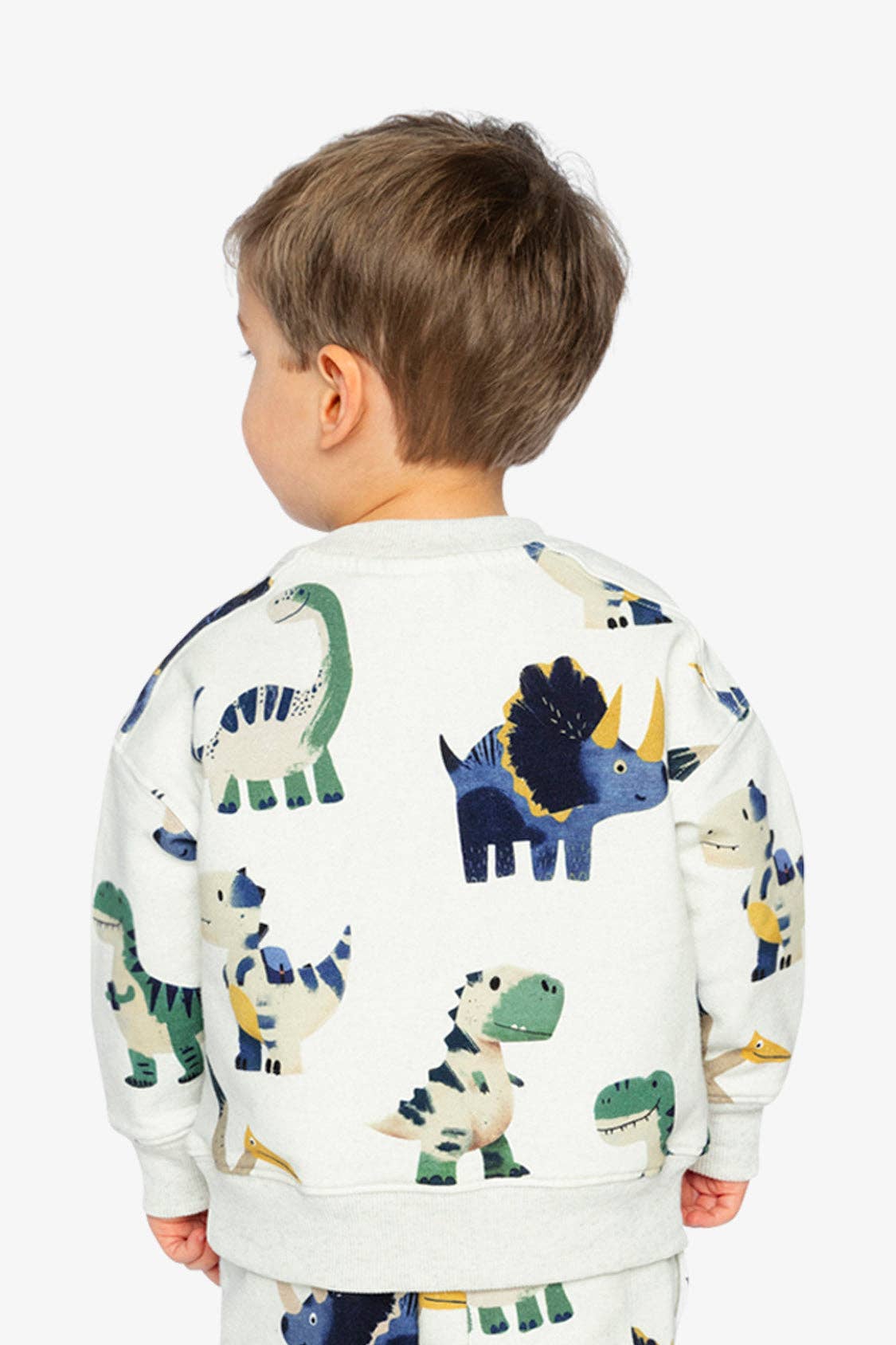 Fleece Sweatshirt Beige Dinosaur Print: 2