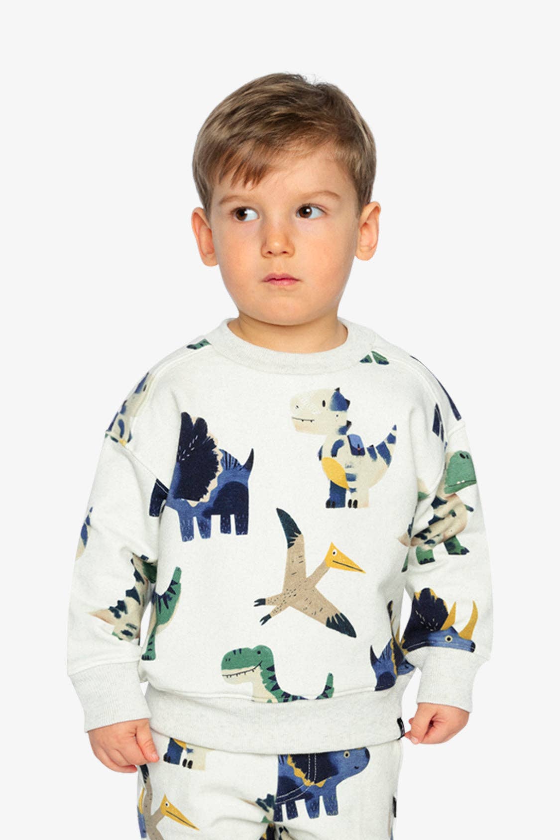 Fleece Sweatshirt Beige Dinosaur Print: 2