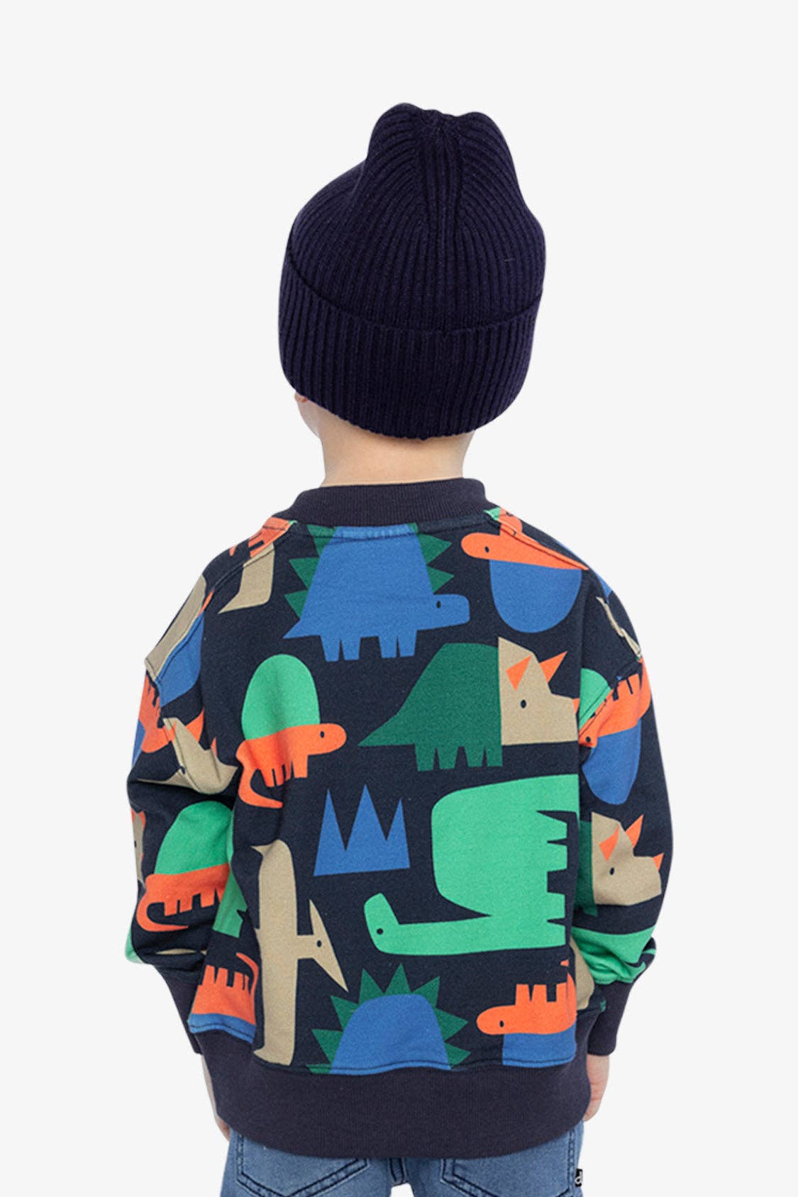 Fleece Sweatshirt Blue Dinosaur Print: 2