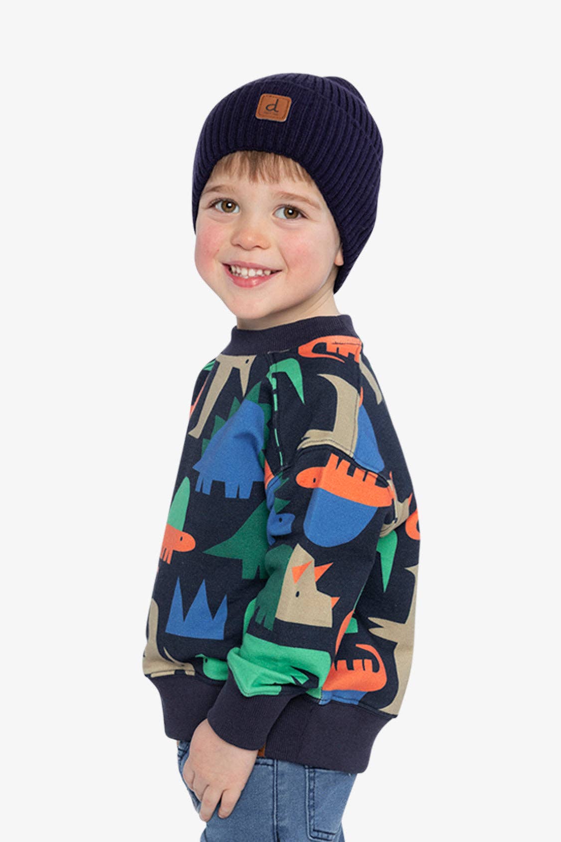 Fleece Sweatshirt Blue Dinosaur Print: 2