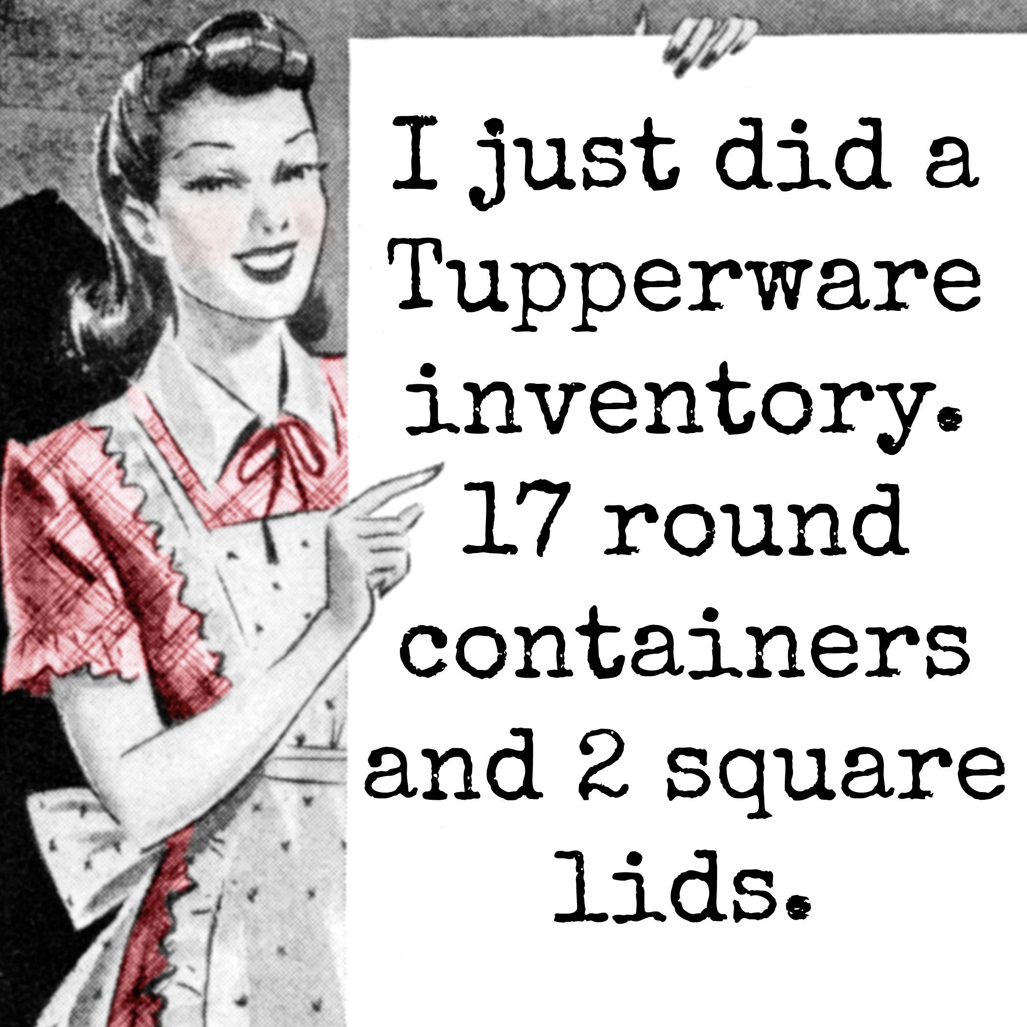 Fridge Magnet. I Just Did A Tupperware Inventory...