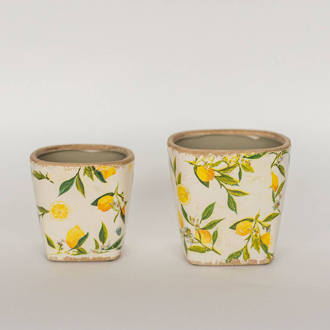 Glazed Ceramic Flower Pots, Set of 2