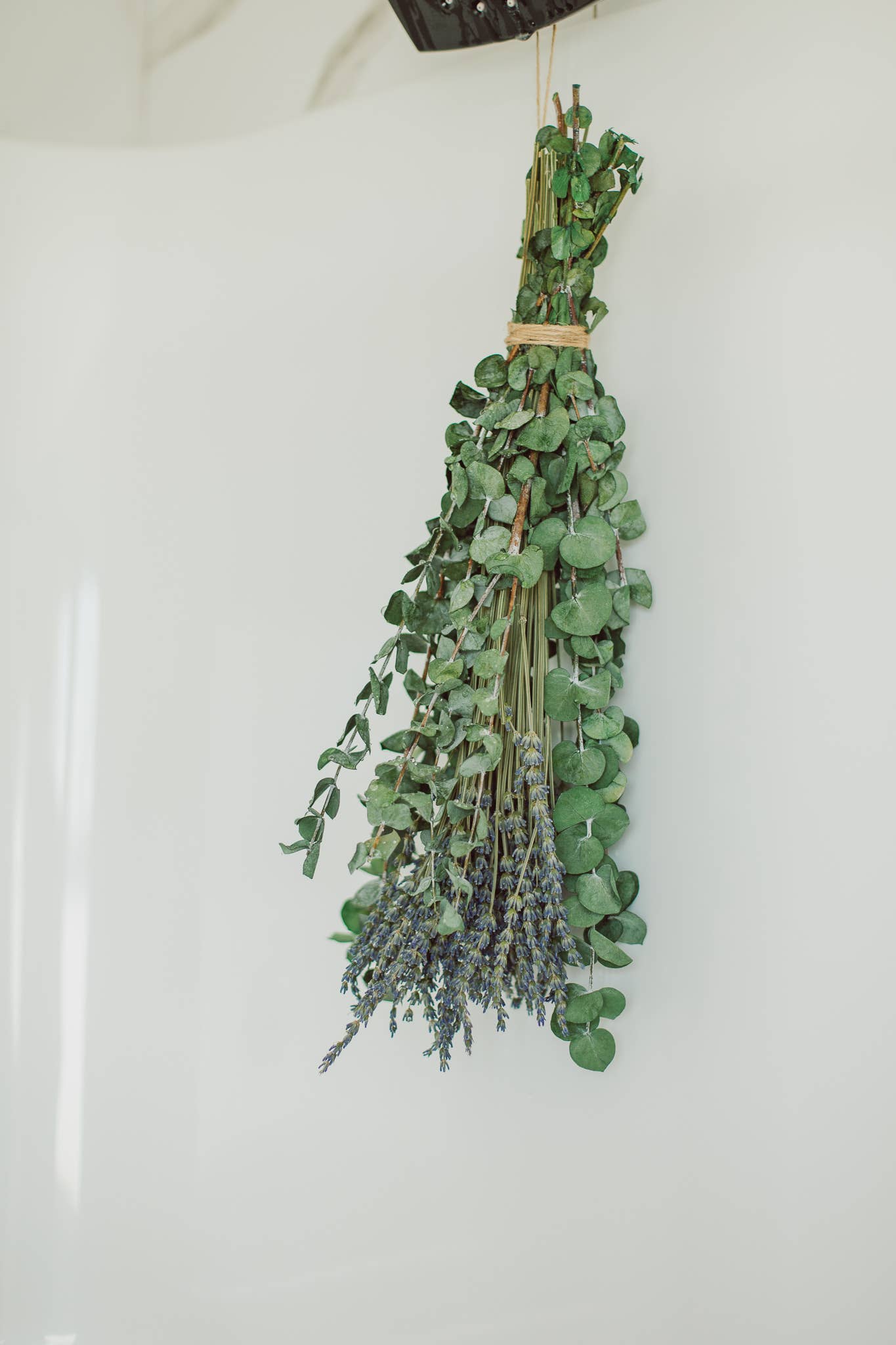 Eucalyptus + Lavender Shower Bundle: Large
