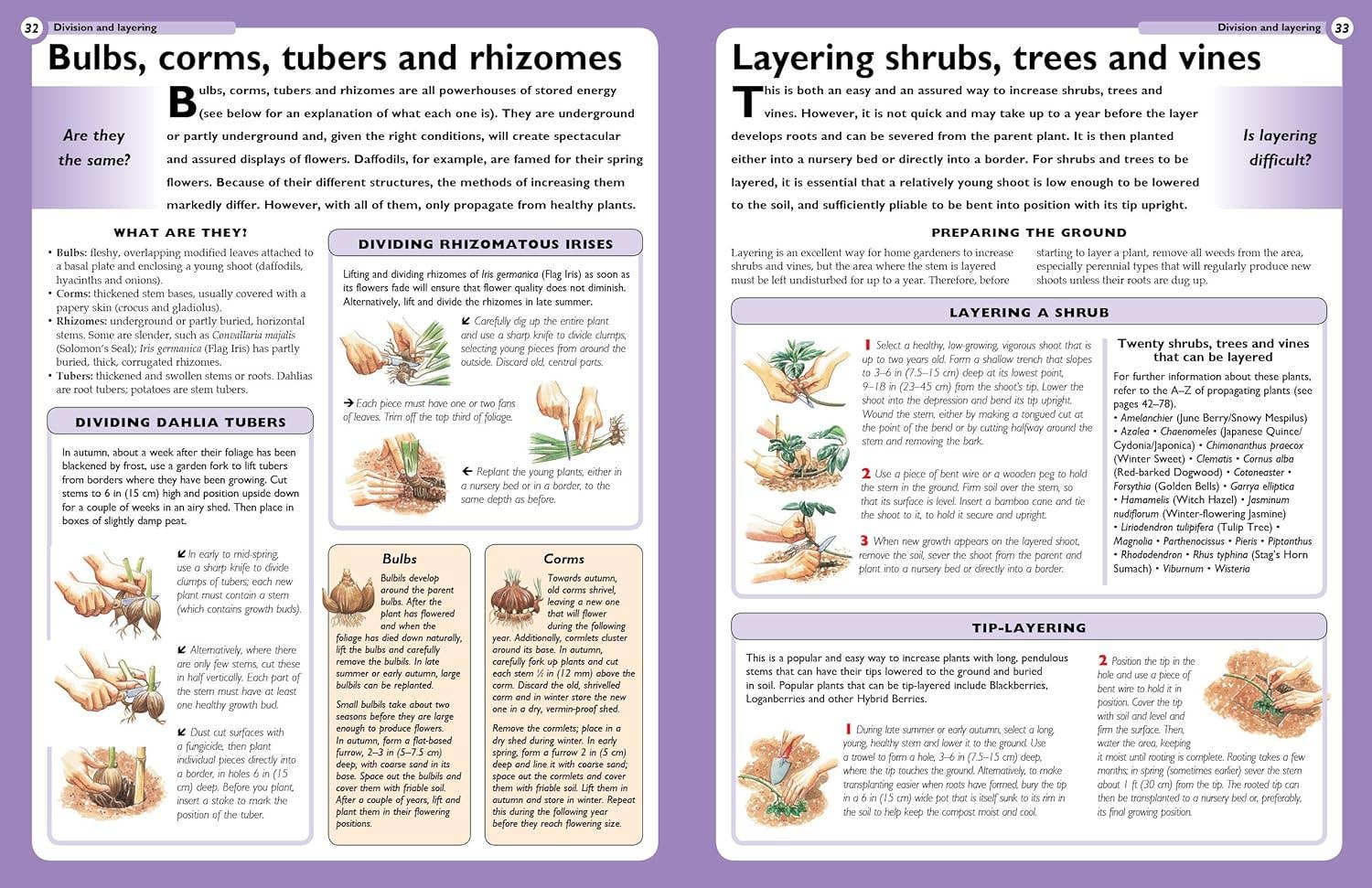 Home Gardener's Propagation - Specialist Guide