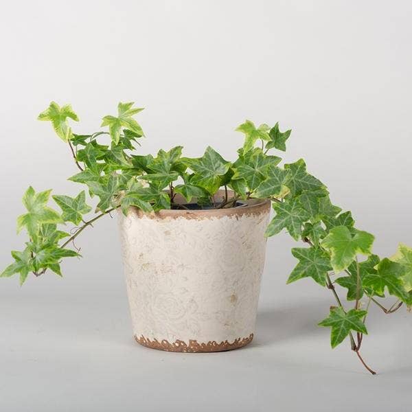 Flower Vintage Ceramic Flower Pot