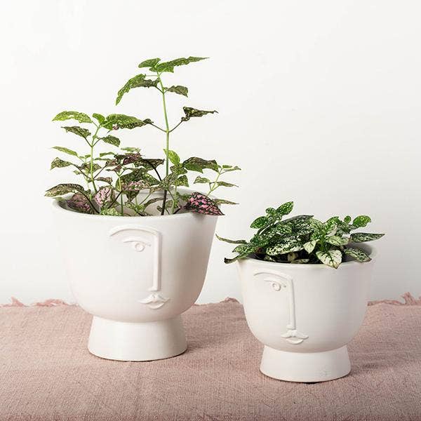 Flower Pot With A Face, Large