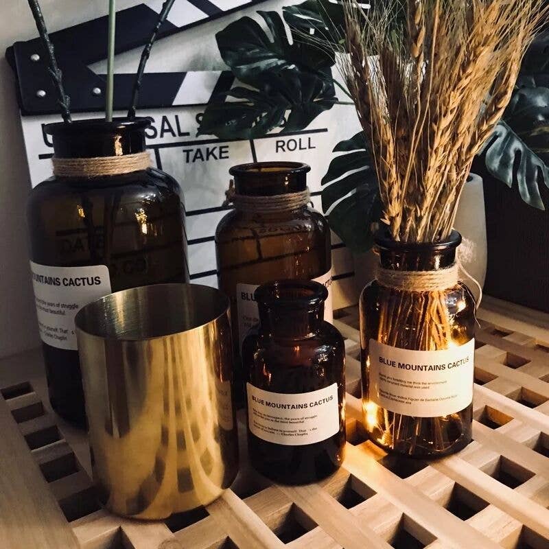 Dark Amber Medicine Bottle Bud Vases Apothecary Jars: Mixture