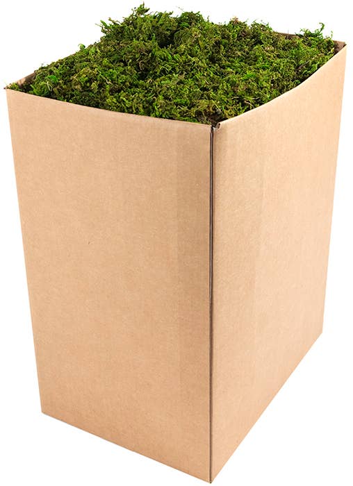 Mountain Moss Bulk: 10lb box