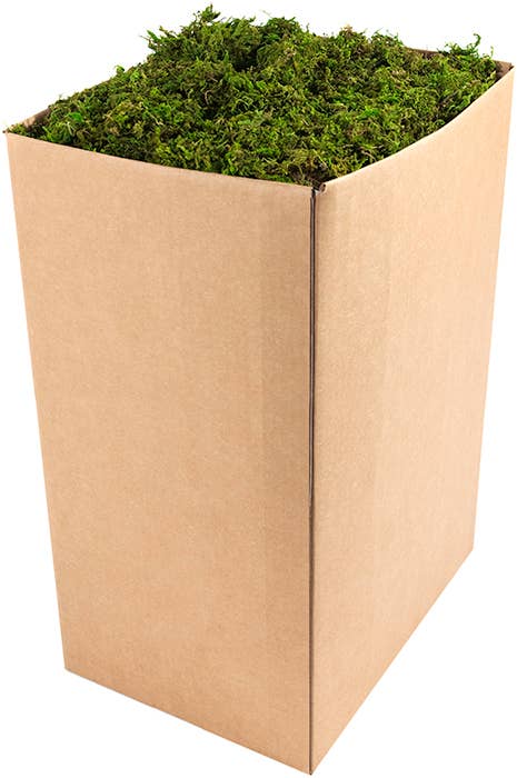 Mountain Moss Bulk: 10lb box
