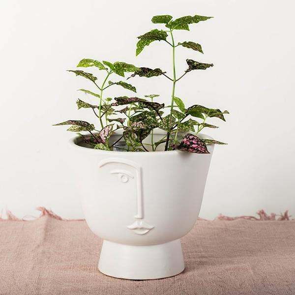 Flower Pot With A Face, Large