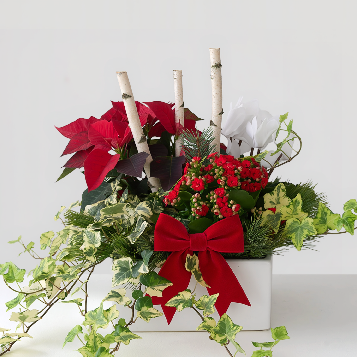 A living collection of the season’s best — flowering plants, fresh winter greens, and soft textures gathered into a clean, complimentary planter. Each piece is thoughtfully curated by our designers to ensure balance, beauty, and easy care. Made to bring lasting cheer to kitchens, entryways, and gifting moments alike.
