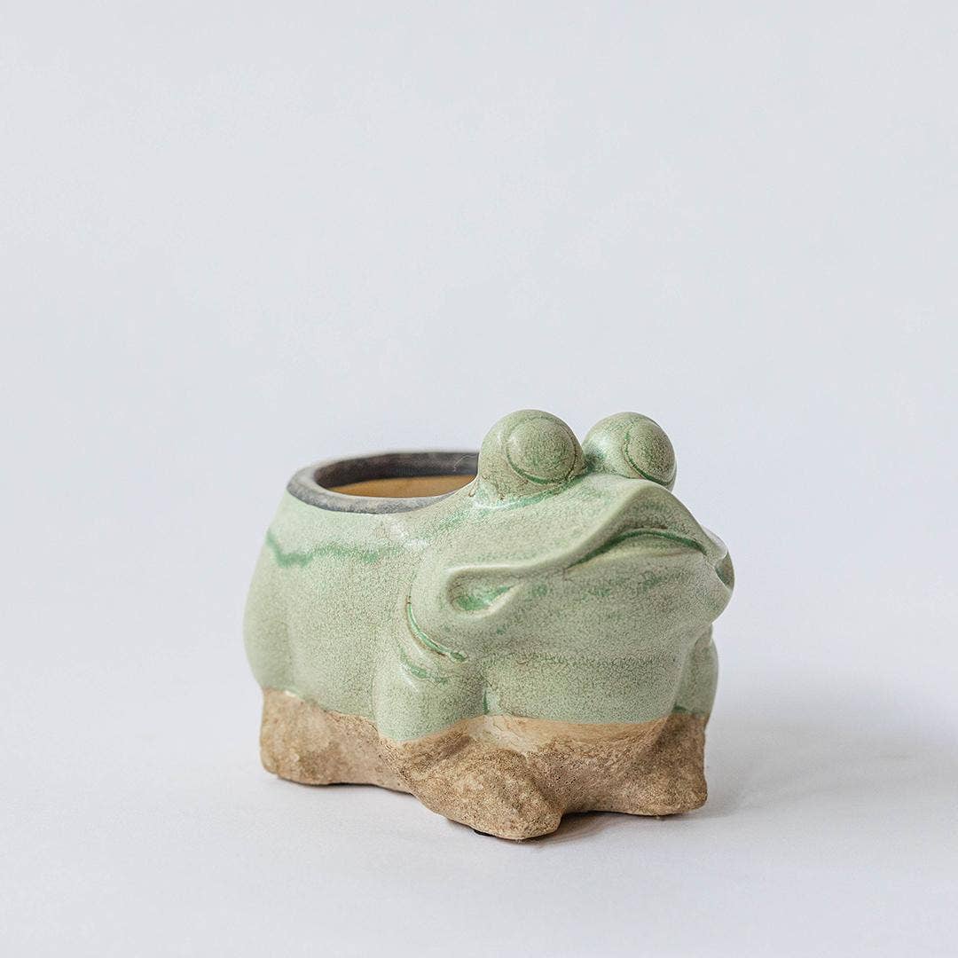 Frog Flower Pot