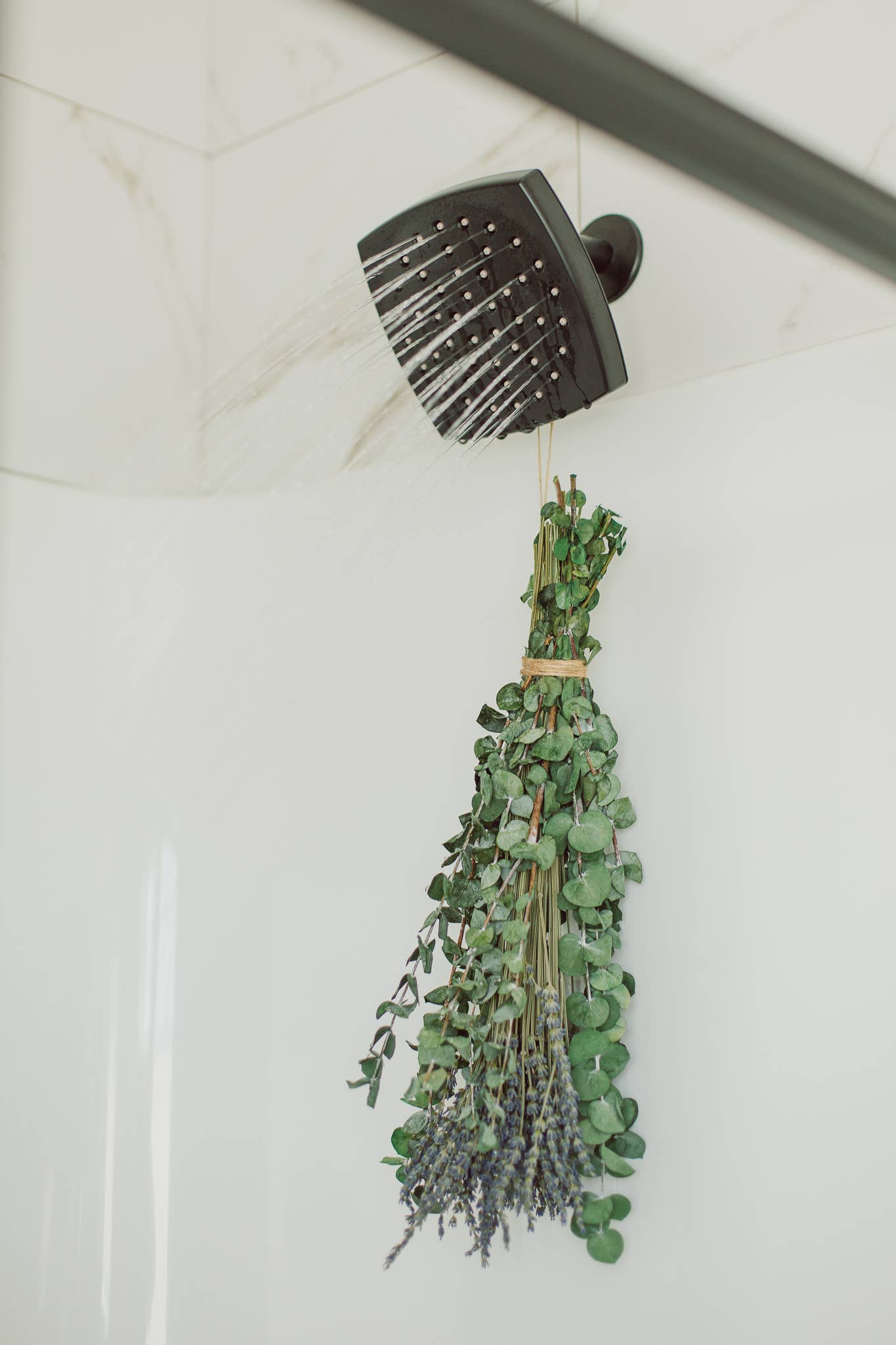 Eucalyptus + Lavender Shower Bundle: Large