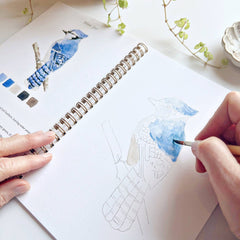 Watercolour Gift Set | 36 Colour Paint Set + Workbook