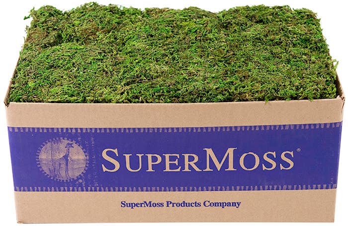 Mountain Moss Bulk: 10lb box