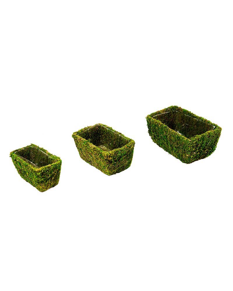 Chino Deco Basket, Fresh Green, Set of 3