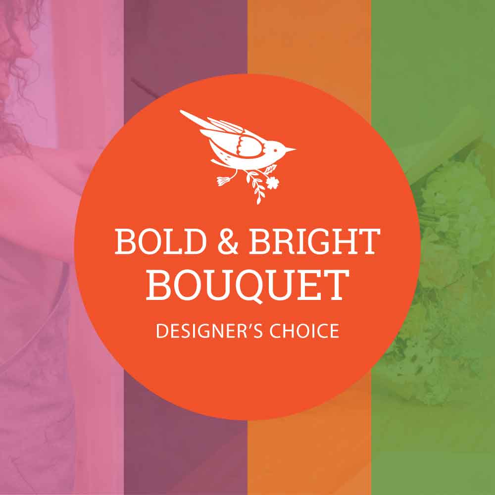 Designer's Choice Bold and Bright