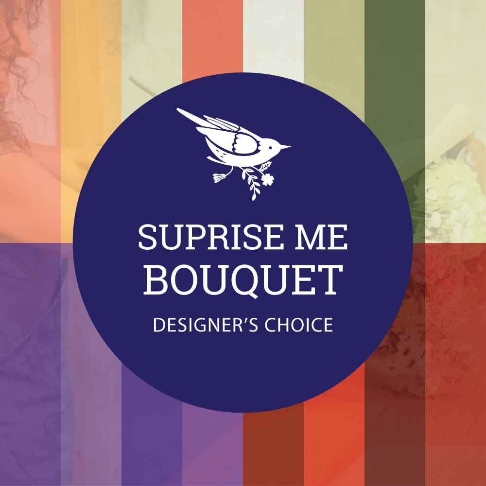 Designer's Choice Suprise Me