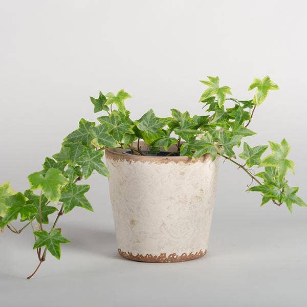 Flower Vintage Ceramic Flower Pot