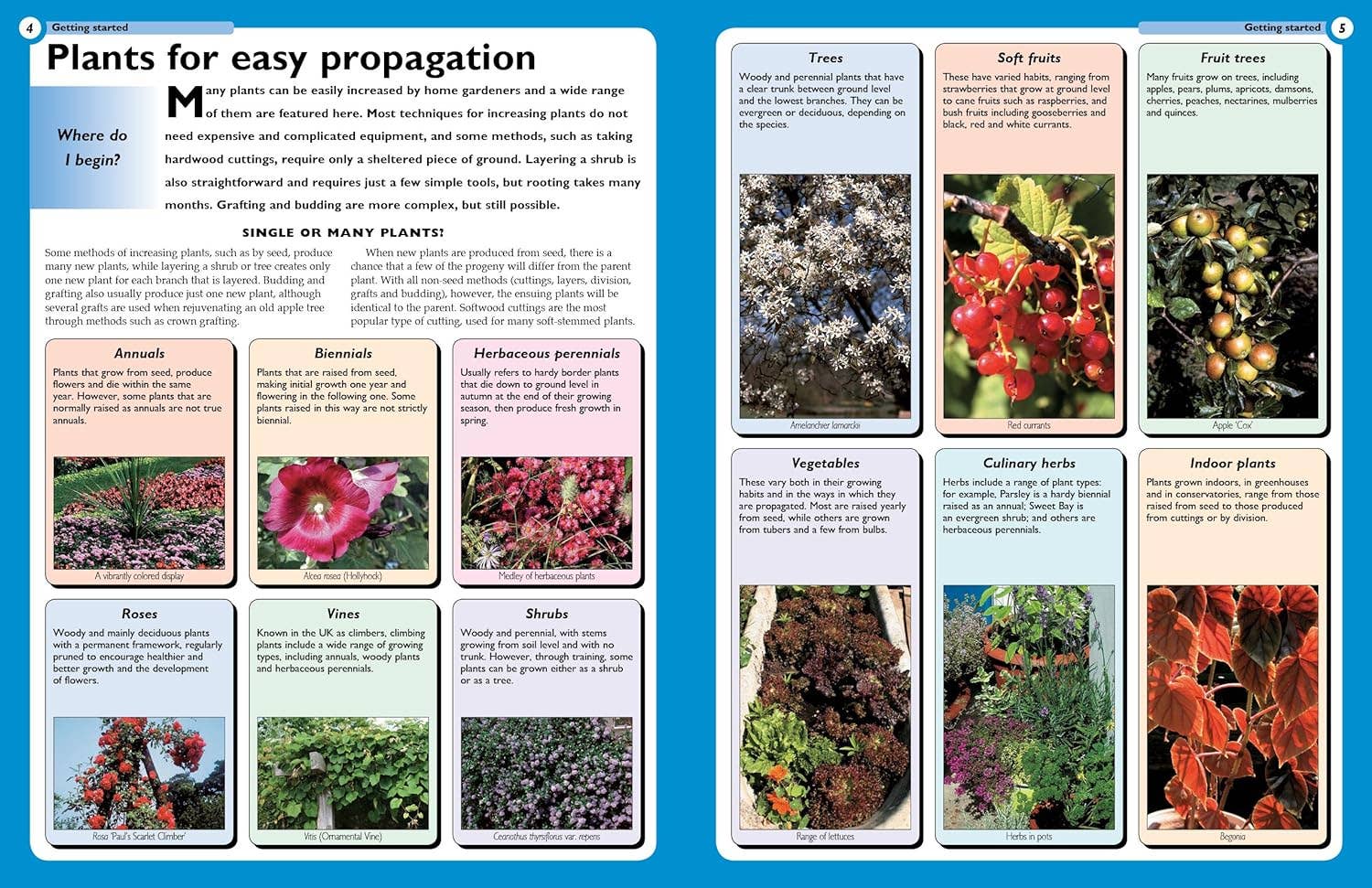 Home Gardener's Propagation - Specialist Guide