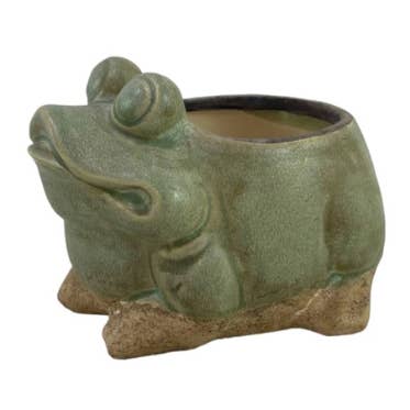 Frog Flower Pot