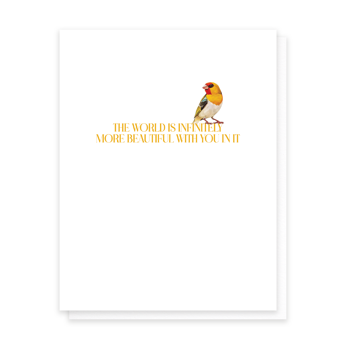 Infinitely More Beautiful, Birthday Greeting Card