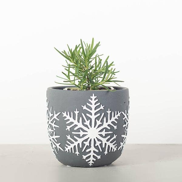 Flower Pot With Snowflake