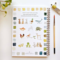 Watercolour Gift Set | 36 Colour Paint Set + Workbook