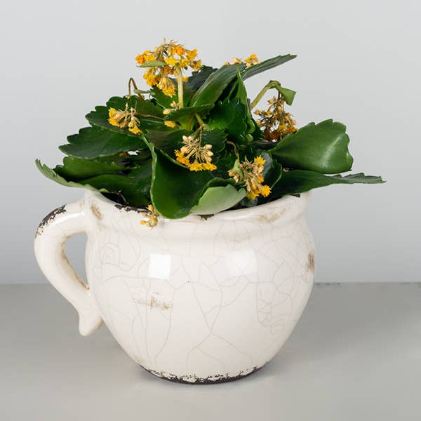 Glazed Ceramic Flower Pot LG