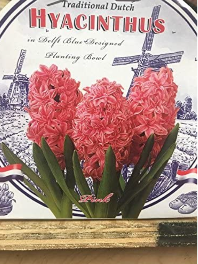 Ceramic Bowl Hyacinth