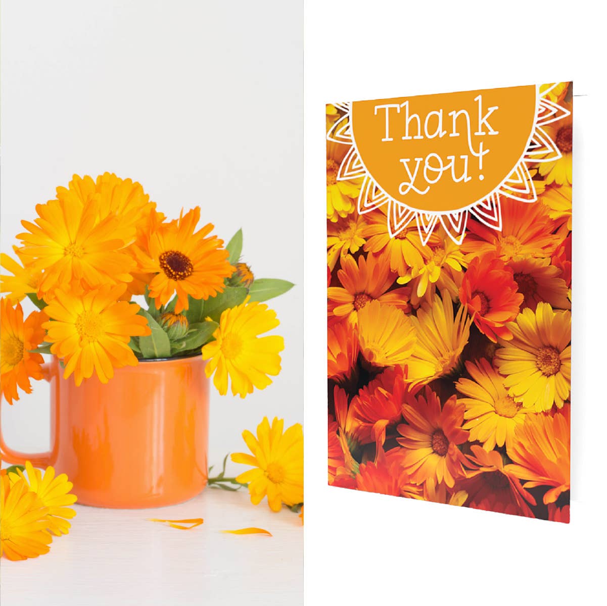 "Thank You" Growable Card | Thank You w/Calendula Seeds